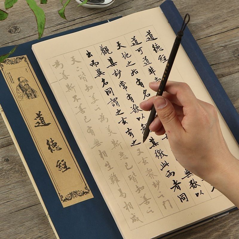 Brush Pen Copybooks Chinese Ch - Chinese Calligraphy Practice Book review and price