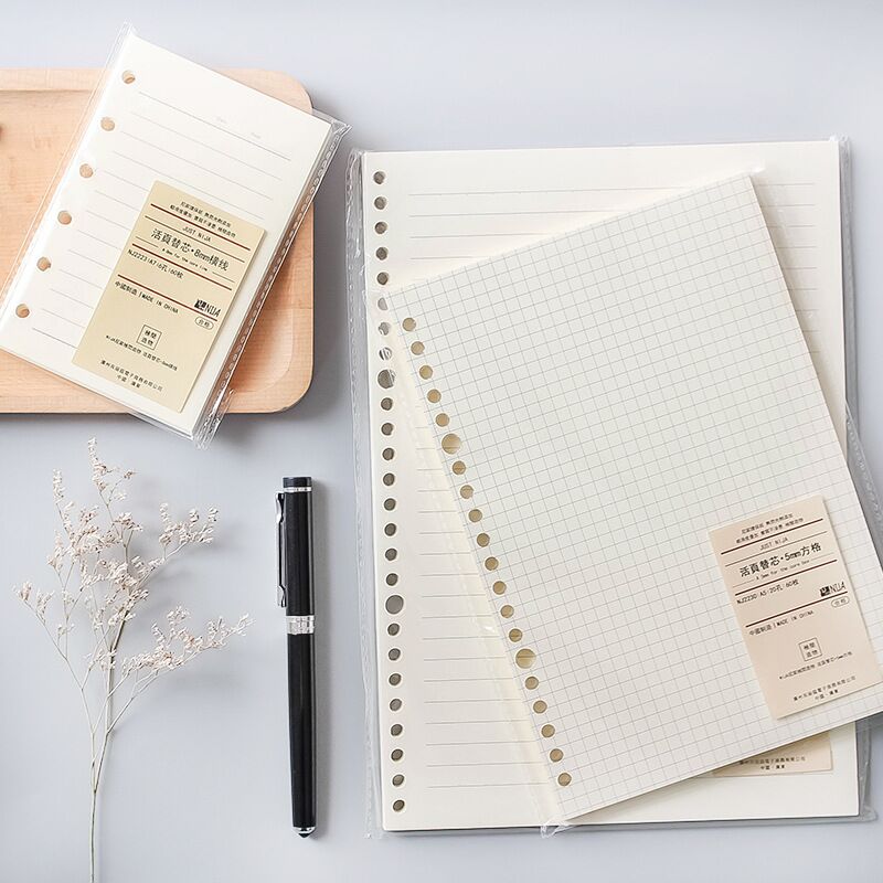 A5 B5 20Holes Loose-Leaf Noteb - A5 Spiral Dotted Grid Notebook review and price